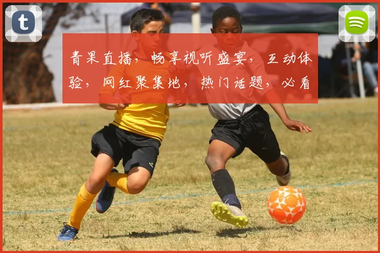 青果直播,畅享视听盛宴,互动体验,网红聚集地,热门话题,必看直播平台,不容错过