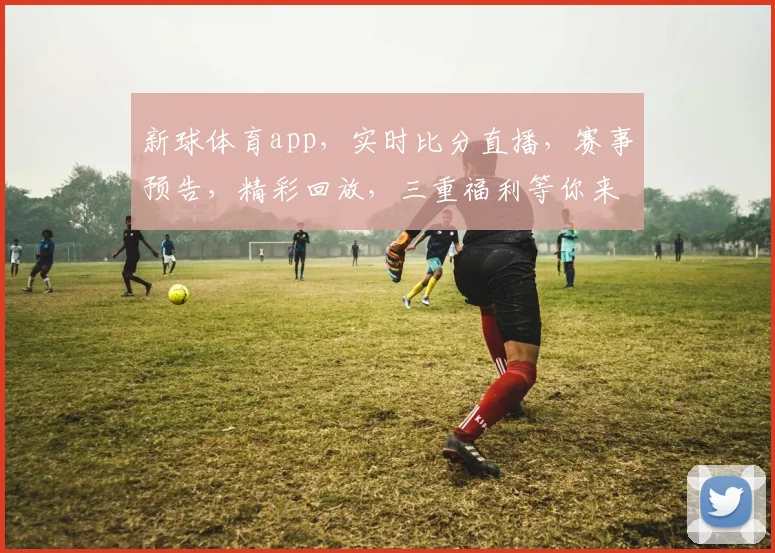 新球体育app，实时比分直播，赛事预告，精彩回放，三重福利等你来