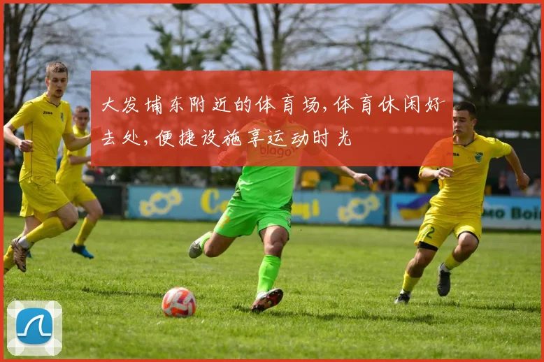大发埔东附近的体育场,体育休闲好去处,便捷设施享运动时光